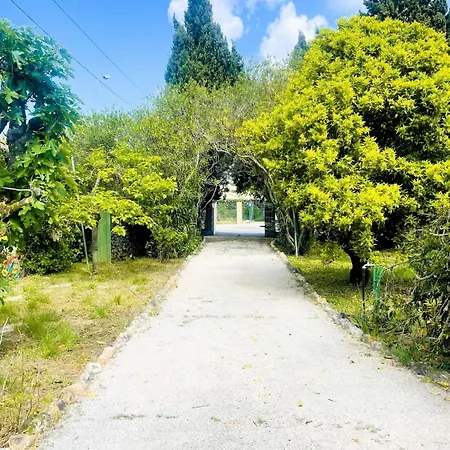 Villa Maison Indépendante 52 M2, Clim, Wifi Et Jardin *